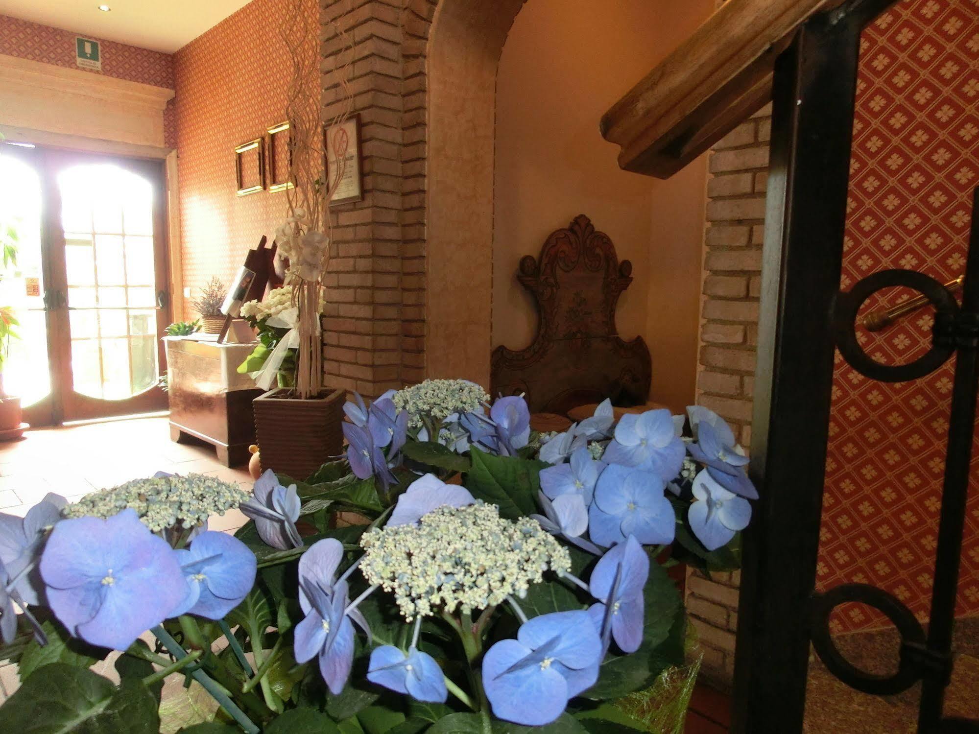 Hotel Girasole Civitanova Marche Zewnętrze zdjęcie