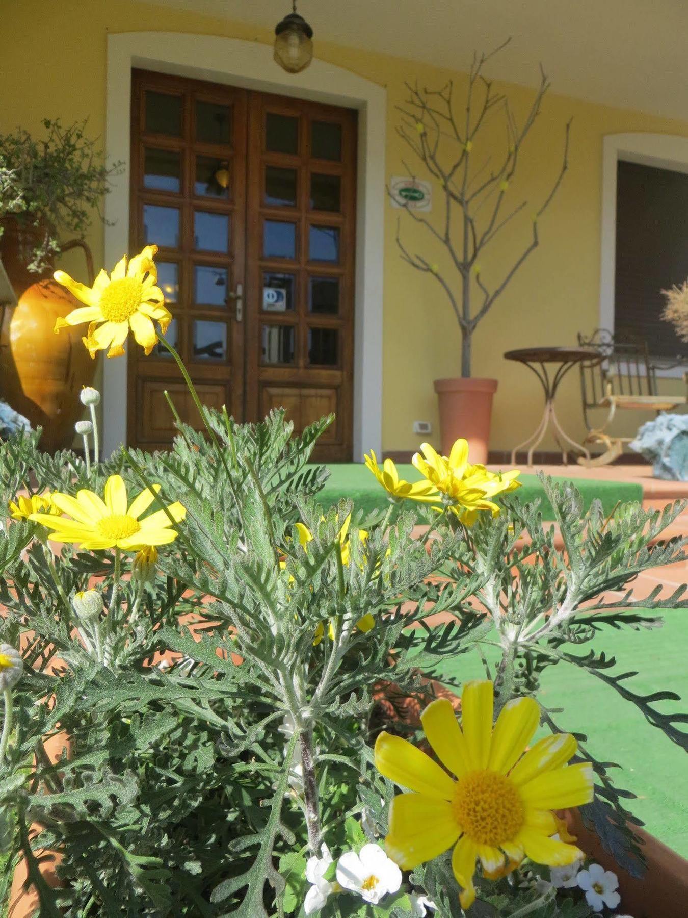 Hotel Girasole Civitanova Marche Zewnętrze zdjęcie
